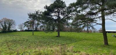 Terrain seul à Grand-Champ en Morbihan (56) de 796 m² à vendre au prix de 127000€ - 3