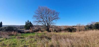 Terrain seul à Saint-Césaire-de-Gauzignan en Gard (30) de 1450 m² à vendre au prix de 103000€ - 3