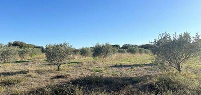 Terrain seul à Pouzols en Hérault (34) de 6825 m² à vendre au prix de 30800€ - 1