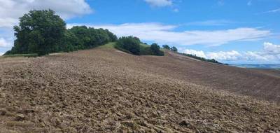 Terrain seul à Beaumont-de-Lomagne en Tarn-et-Garonne (82) de 200000 m² à vendre au prix de 176000€ - 3