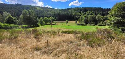 Terrain seul à Pierrefiche en Lozère (48) de 4839 m² à vendre au prix de 35000€ - 2