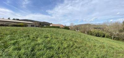 Terrain seul à Saint-Geoire-en-Valdaine en Isère (38) de 745 m² à vendre au prix de 80000€ - 4