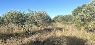 Terrain seul à Pouzols en Hérault (34) de 4526 m² à vendre au prix de 19800€ - 4