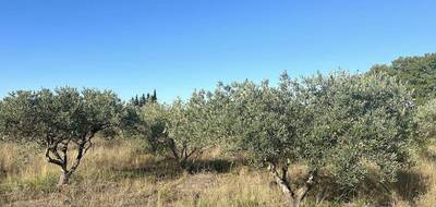 Terrain seul à Pouzols en Hérault (34) de 4526 m² à vendre au prix de 19800€ - 3