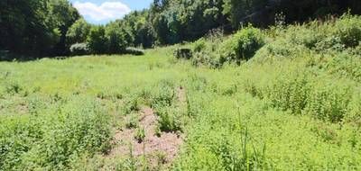 Terrain seul à Puy-l'Évêque en Lot (46) de 6000 m² à vendre au prix de 22000€ - 2