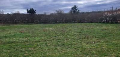 Terrain seul à L'Isle-en-Dodon en Haute-Garonne (31) de 1138 m² à vendre au prix de 28000€ - 3