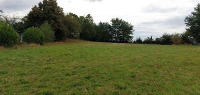 Terrain seul à Boussac en Creuse (23) de 3560 m² à vendre au prix de 29000€ - 2