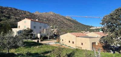 Terrain seul à Santa-Reparata-di-Balagna en Haute-Corse (2B) de 1197 m² à vendre au prix de 235000€ - 4