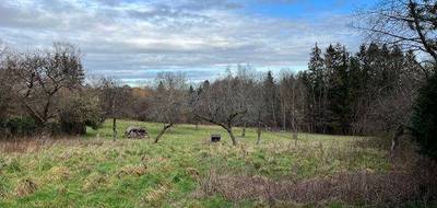 Terrain seul à Petitmont en Meurthe-et-Moselle (54) de 1050 m² à vendre au prix de 20000€ - 3