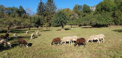 Terrain seul à Les Cabannes en Ariège (09) de 1132 m² à vendre au prix de 39000€ - 2