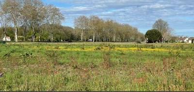 Terrain seul à Castétis en Pyrénées-Atlantiques (64) de 1485 m² à vendre au prix de 35000€ - 2