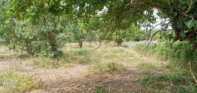 Terrain seul à Verfeuil en Gard (30) de 3166 m² à vendre au prix de 160500€ - 2