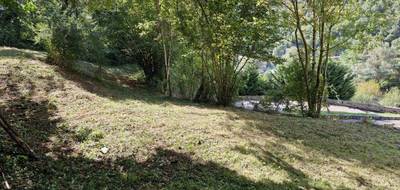 Terrain seul à Les Cabannes en Ariège (09) de 3001 m² à vendre au prix de 26000€ - 2