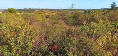 Terrain seul à Assignan en Hérault (34) de 8732 m² à vendre au prix de 9900€ - 4