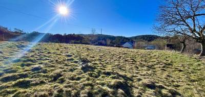 Terrain seul à Monts-de-Randon en Lozère (48) de 700 m² à vendre au prix de 34000€ - 3