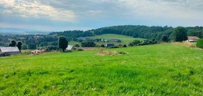 Terrain seul à Saint-Flour en Cantal (15) de 9101 m² à vendre au prix de 236500€ - 1