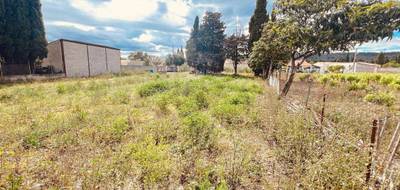 Terrain seul à Argeliers en Aude (11) de 1223 m² à vendre au prix de 148000€ - 4