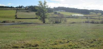 Terrain seul à Grandrieu en Lozère (48) de 1500 m² à vendre au prix de 39300€ - 2