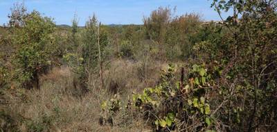 Terrain seul à La Livinière en Hérault (34) de 2070 m² à vendre au prix de 69000€ - 3