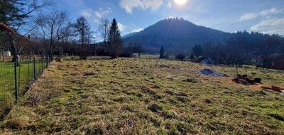 Terrain seul à Raon-sur-Plaine en Vosges (88) de 1161 m² à vendre au prix de 29000€ - 1