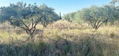 Terrain seul à Pouzols en Hérault (34) de 4526 m² à vendre au prix de 19800€ - 1