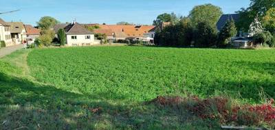 Terrain seul à Handschuheim en Bas-Rhin (67) de 705 m² à vendre au prix de 244520€ - 2