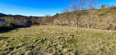 Terrain seul à Monts-de-Randon en Lozère (48) de 700 m² à vendre au prix de 34000€ - 1