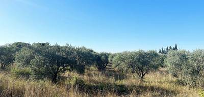 Terrain seul à Pouzols en Hérault (34) de 4526 m² à vendre au prix de 19800€ - 2