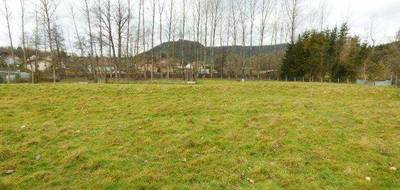 Terrain seul à Moyenmoutier en Vosges (88) de 2106 m² à vendre au prix de 49950€ - 3