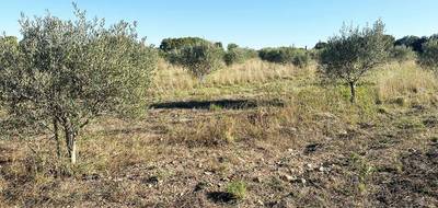 Terrain seul à Pouzols en Hérault (34) de 6825 m² à vendre au prix de 30800€ - 2