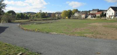 Terrain seul à Grandrieu en Lozère (48) de 1500 m² à vendre au prix de 39300€ - 4