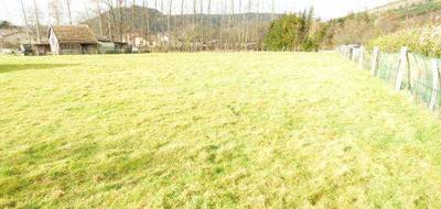 Terrain seul à Moyenmoutier en Vosges (88) de 1117 m² à vendre au prix de 45000€ - 1