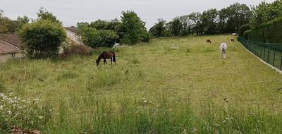 Terrain seul à Eyjeaux en Haute-Vienne (87) de 70977 m² à vendre au prix de 336000€ - 4