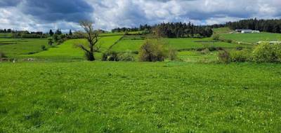 Terrain seul à Grandrieu en Lozère (48) de 1047 m² à vendre au prix de 29000€ - 1