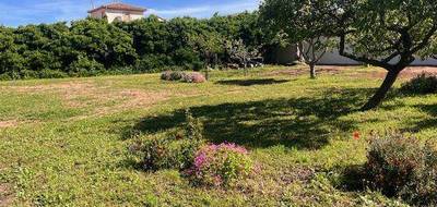 Terrain seul à Marseillan en Hérault (34) de 1020 m² à vendre au prix de 520000€ - 1