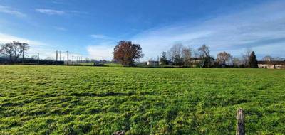 Terrain seul à Pont-de-Vaux en Ain (01) de 6008 m² à vendre au prix de 195000€ - 2