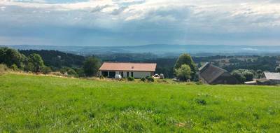 Terrain seul à Saint-Flour en Cantal (15) de 9101 m² à vendre au prix de 236500€ - 2