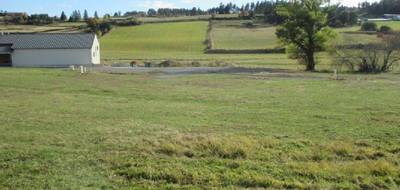 Terrain seul à Grandrieu en Lozère (48) de 1500 m² à vendre au prix de 39300€ - 3