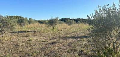 Terrain seul à Pouzols en Hérault (34) de 6825 m² à vendre au prix de 30800€ - 3