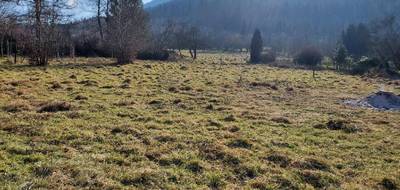 Terrain seul à Raon-sur-Plaine en Vosges (88) de 1161 m² à vendre au prix de 29000€ - 3