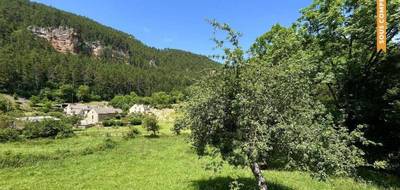 Terrain seul à Lanuéjols en Lozère (48) de 1196 m² à vendre au prix de 33000€ - 2