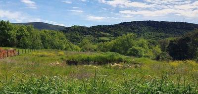 Terrain seul à Taussac-la-Billière en Hérault (34) de 1917 m² à vendre au prix de 99000€ - 1