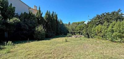 Terrain seul à Cannes en Alpes-Maritimes (06) de 706 m² à vendre au prix de 595000€ - 3