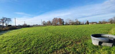 Terrain seul à Pont-de-Vaux en Ain (01) de 6008 m² à vendre au prix de 195000€ - 3