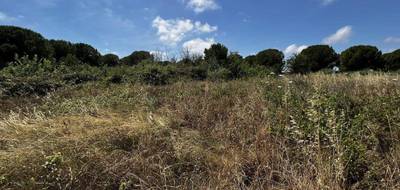 Terrain seul à Marseillan en Hérault (34) de 1248 m² à vendre au prix de 15000€ - 2