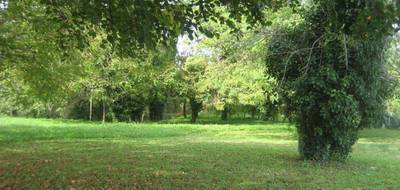 Terrain seul à Barsac en Gironde (33) de 2611 m² à vendre au prix de 107000€ - 3