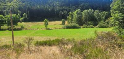 Terrain seul à Pierrefiche en Lozère (48) de 4839 m² à vendre au prix de 35000€ - 1