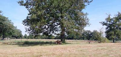 Terrain seul à Gouzon en Creuse (23) de 26736 m² à vendre au prix de 88500€ - 4