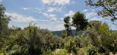 Terrain seul à Claviers en Var (83) de 3015 m² à vendre au prix de 168500€ - 1