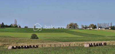 Terrain seul à Oueilloux en Hautes-Pyrénées (65) de 3239 m² à vendre au prix de 43500€ - 2